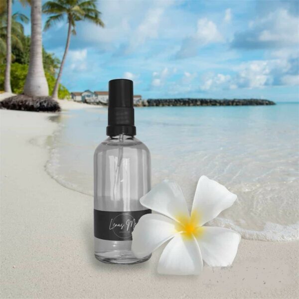 Ionische Silberlösung (100 ml)
